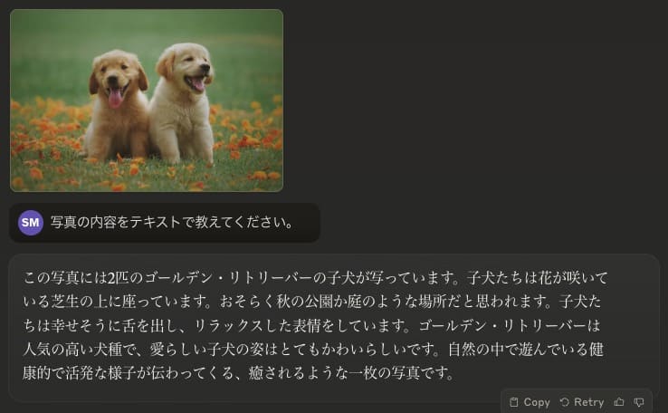 画像認識(マルチモーダル)