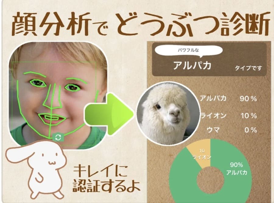 どうぶつ顔診断