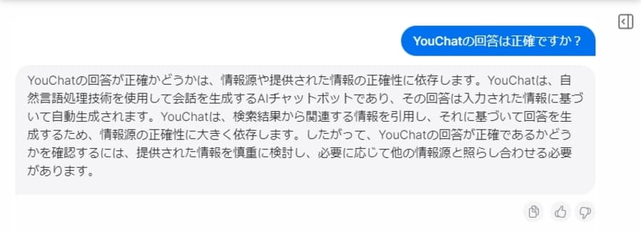 YouChatで回答は正確か質問する画像