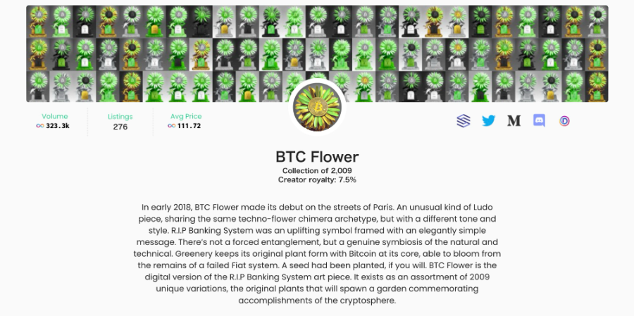 BTC Flower