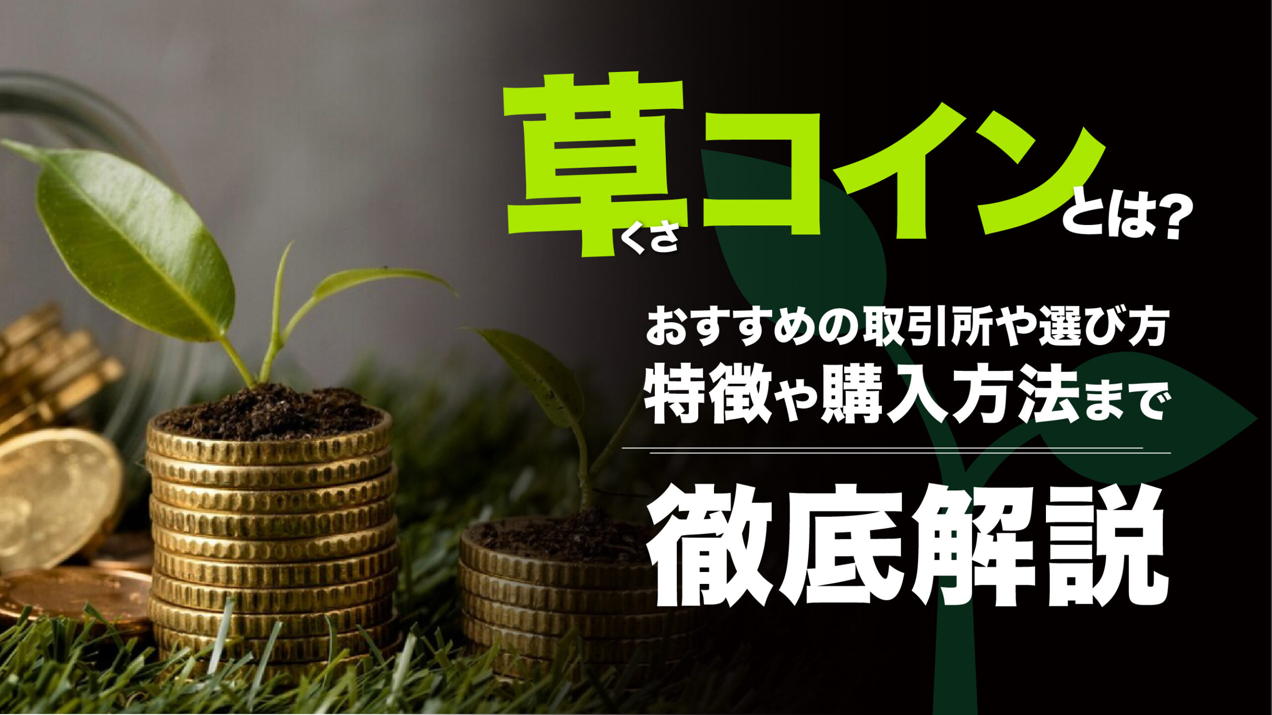草コインの買い方は？おすすめの取引所や購入方法・選び方を詳しく解説 | meta land
