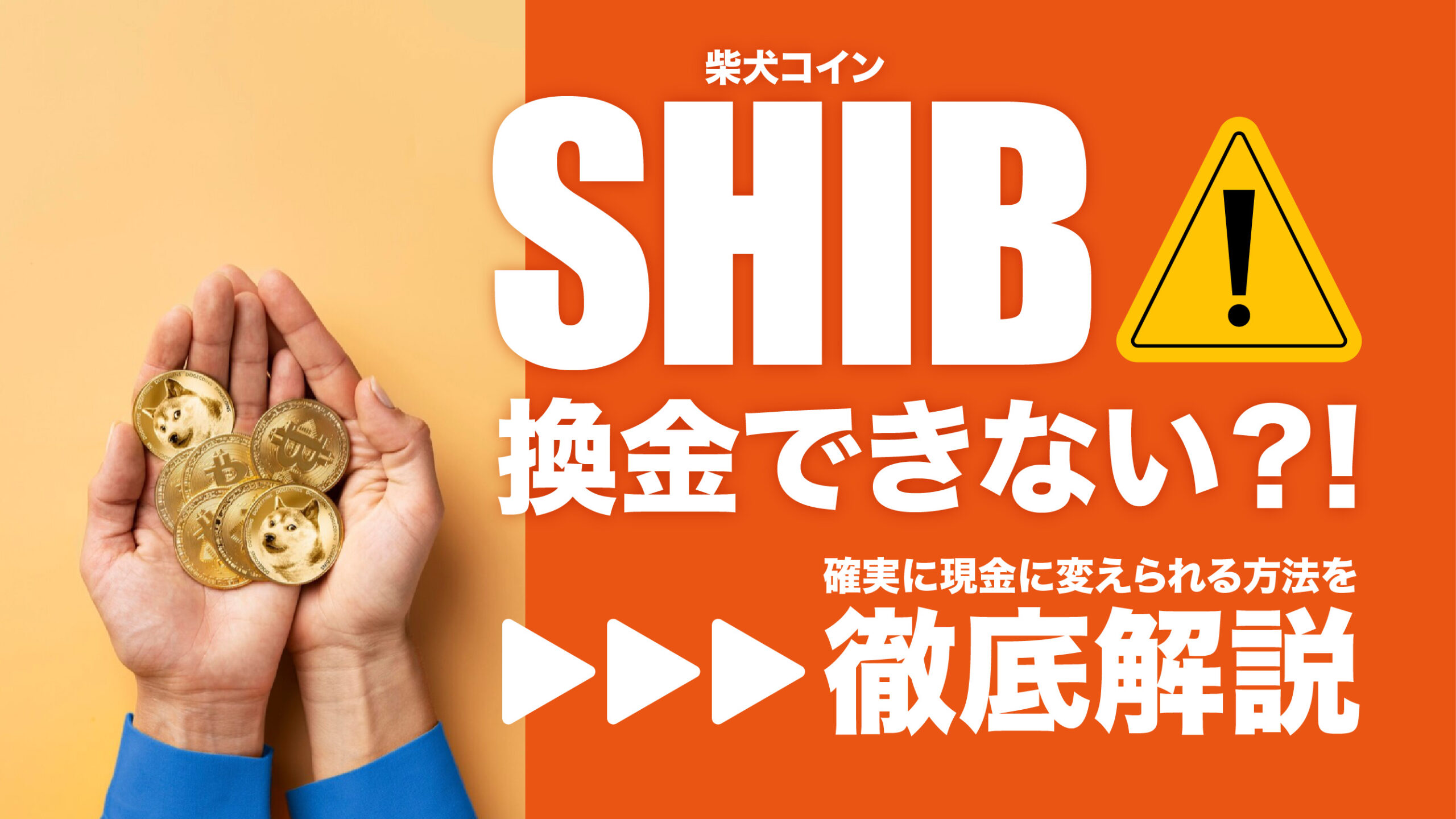 柴犬コインもう遅い？将来性や価格推移・買い方を解説 | meta land