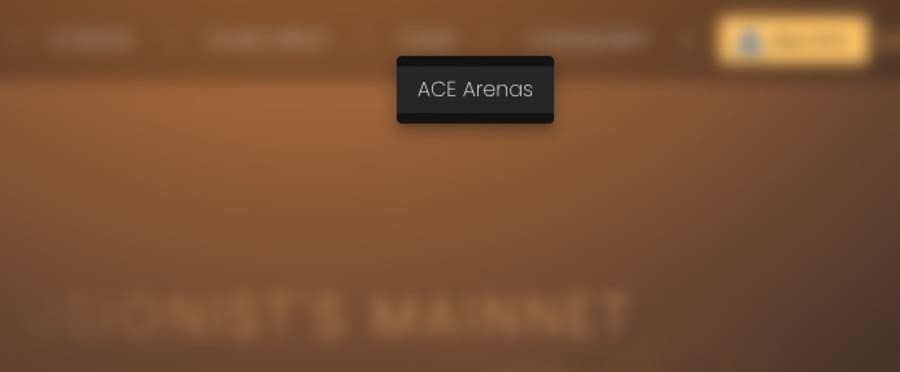 ACE Arenas