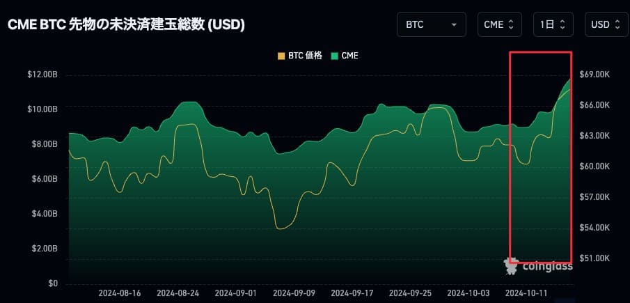 CMEの未決済縦玉