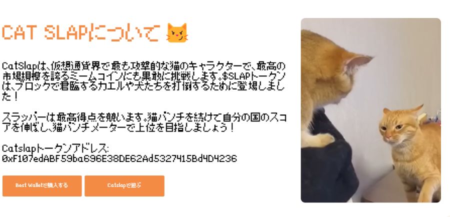 Catslapのシーズン1の終了、大きな盛り上がりを見せる