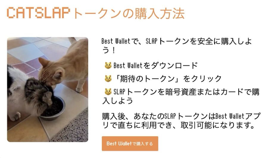 CatSlapの購入方法