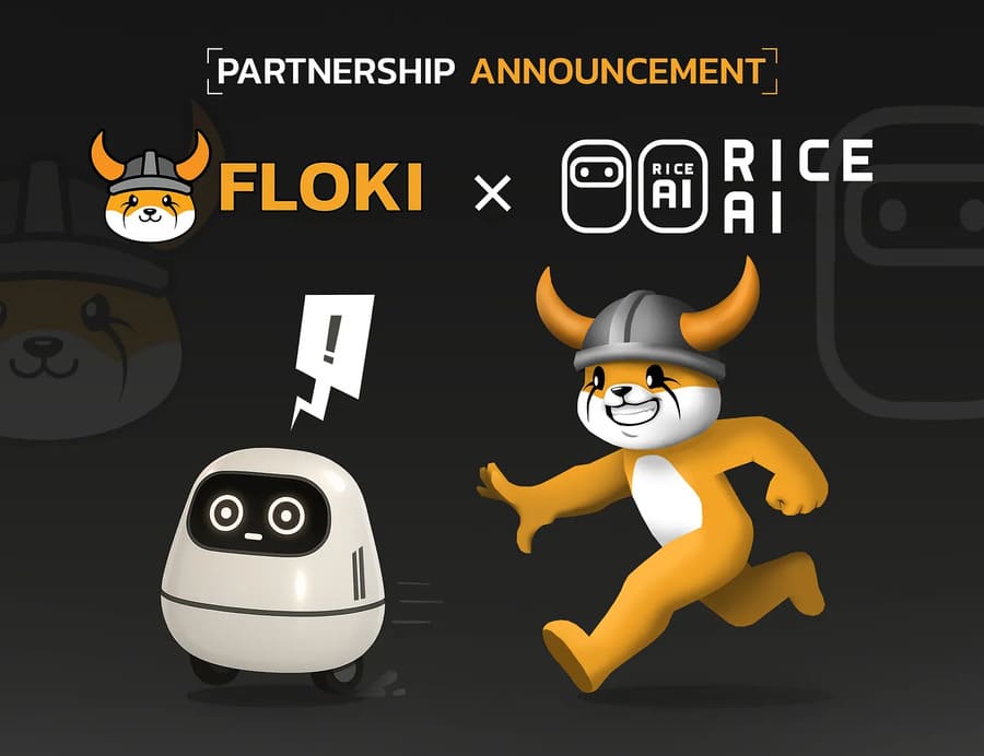 RICEとFLOKIのパートナーシップ画像