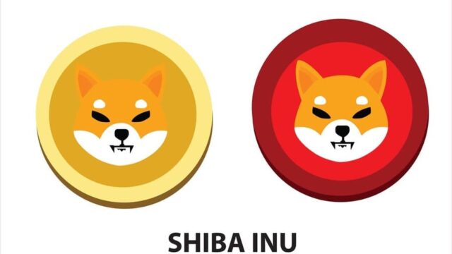 SHIBA INU