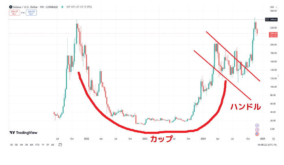 SOL cup and handle