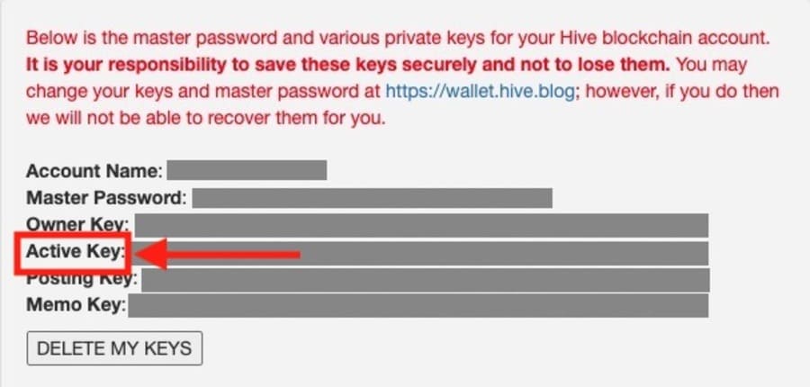 HIVEチェーンの「Active key」の項目をコピーして貼り付け